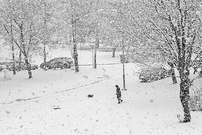 Hlavně neztratit psa ...