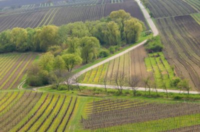 Cik-cak. Ta naše Morava