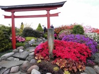 Část japonské zahrady