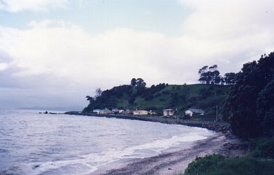 Coromandel - domky na pobřeží