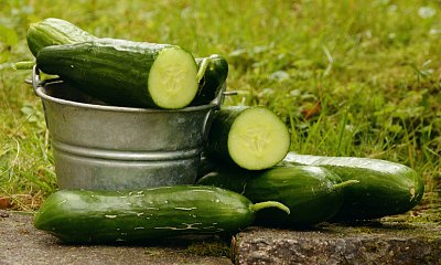 cucumbers-1588945-1280-1.jpg