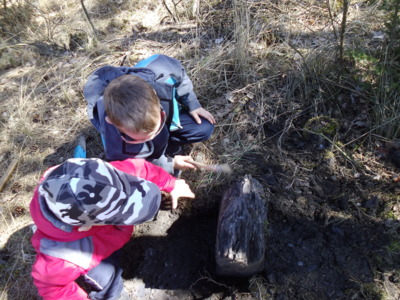 vzácný nález - zkamenělina