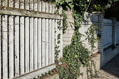 27 Zarůstající plot.