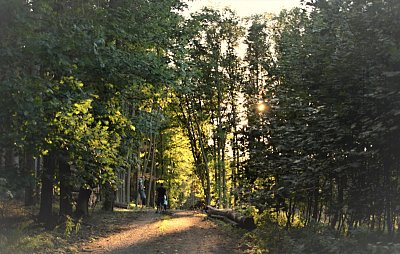 dsc-2686.jpg