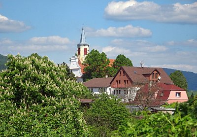 dsc00189-jarni-dubicky.jpg