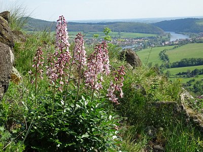 dsc00241-tremdava-na-vyhlidce-vaclava-krcila.jpg