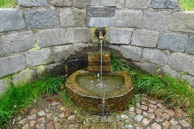 dsc04439.jpg