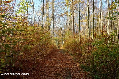 dsc05020-1.jpg