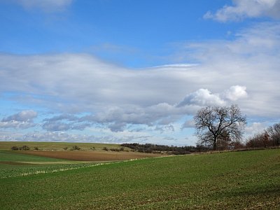 dsc06944libezna-krajina.jpg