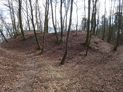 dsc07065.jpg