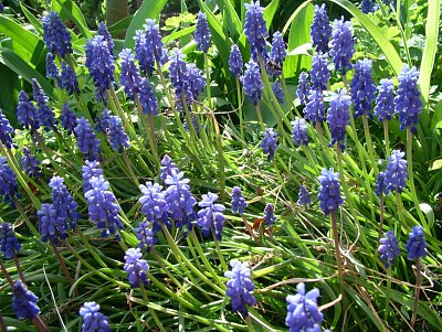 dscf5206.jpg
