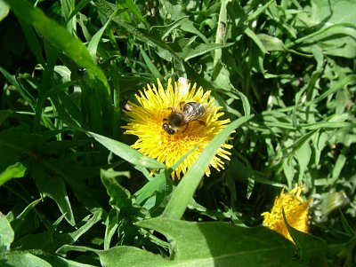 dscf5270.jpg