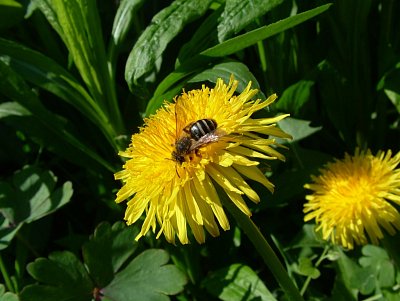dscf6481.jpg