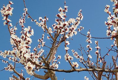 dscf6538a.jpg