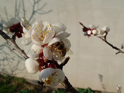 dscf6545-1.jpg