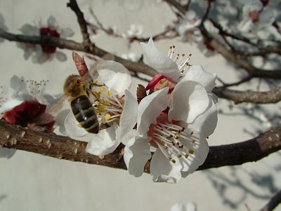 dscf6553.jpg
