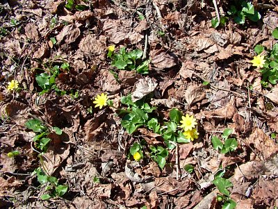 dscf6618.jpg