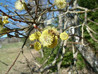 dscf6773-2.jpg