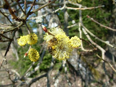 dscf6775-1.jpg