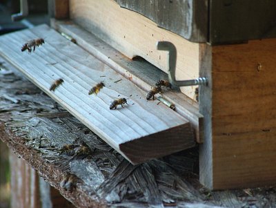 dscf6855a.jpg