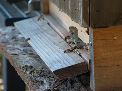 dscf6858-1.jpg