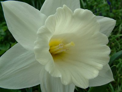 dscf6939-1.jpg