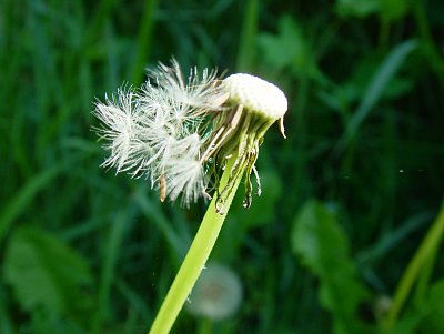dscf7248.jpg
