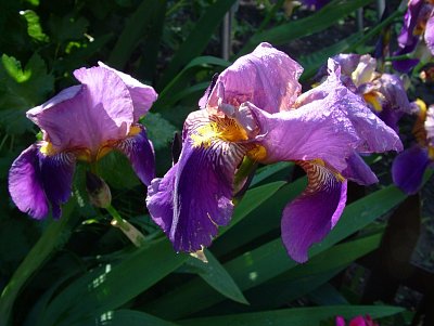 dscf7699.jpg