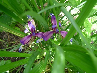 dscf7759.jpg