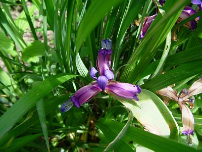 dscf7761-1.jpg