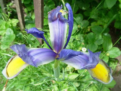 dscf7763-2.jpg
