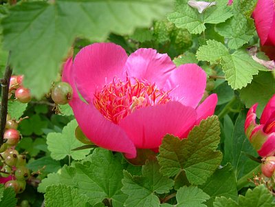 dscf7776-1.jpg