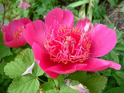 dscf7777-2.jpg
