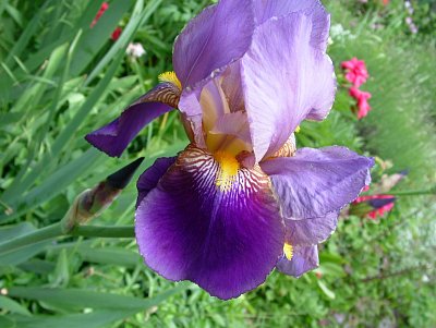 dscf7809-1.jpg