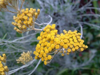 dscf7853.jpg