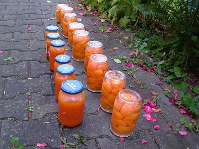 dscf8021.jpg