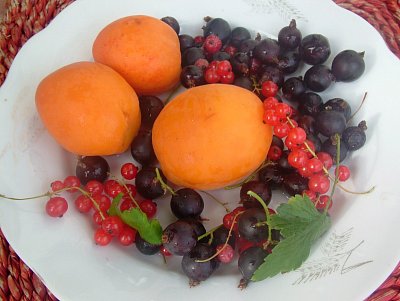 dscf8176.jpg