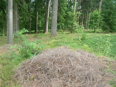 dscf8247-2.jpg