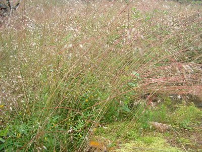 dscf8263-2.jpg