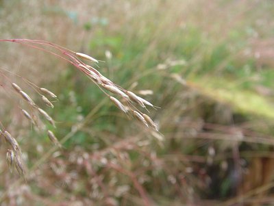dscf8265-2.jpg
