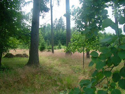 dscf8295-2.jpg