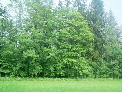 dscf8316-3.jpg