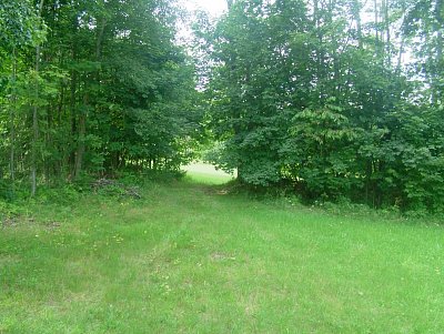 dscf8321-1.jpg