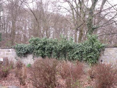 dscf8489.jpg