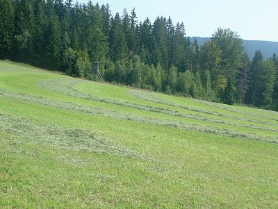 dscf8556-2.jpg