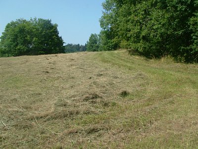 dscf8593.jpg