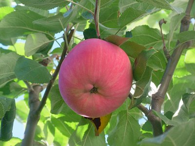 dscf8716.jpg