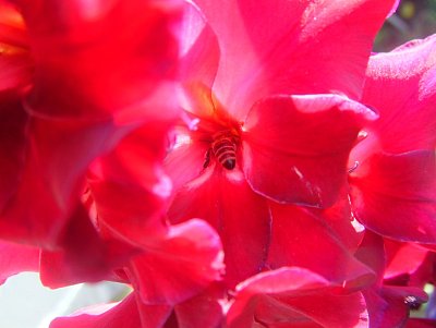 dscf8765.jpg