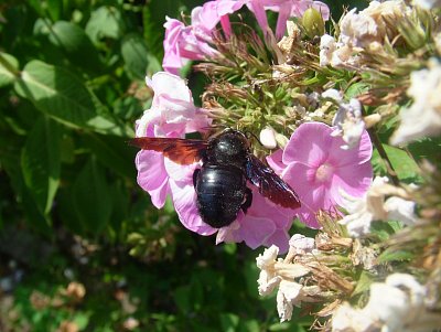 dscf8848-1.jpg