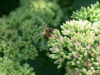 dscf8875.jpg